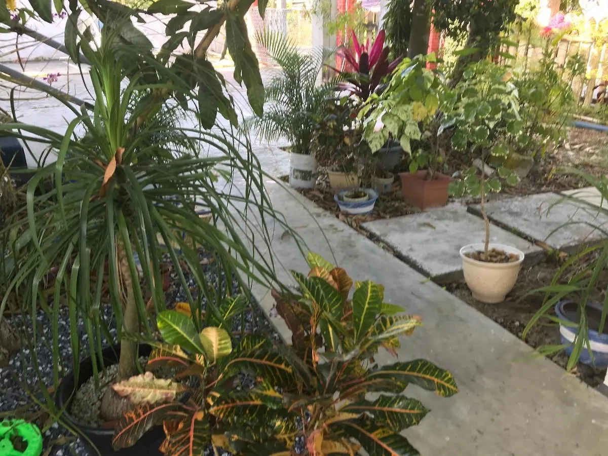 Ramel'S Tropical Suites Cunupia Village